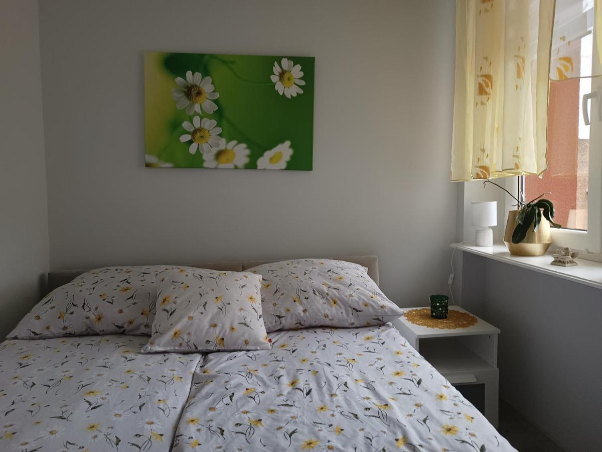 Szmaragdowy Apartament Przy Ulicy Opolskiej Tarnowskie Gory Ngoại thất bức ảnh