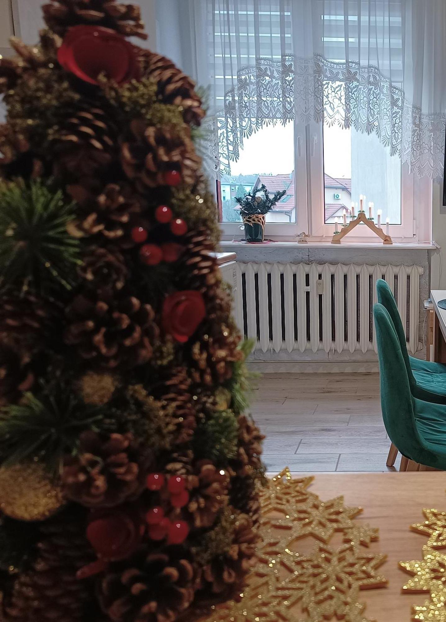 Szmaragdowy Apartament Przy Ulicy Opolskiej Tarnowskie Gory Ngoại thất bức ảnh